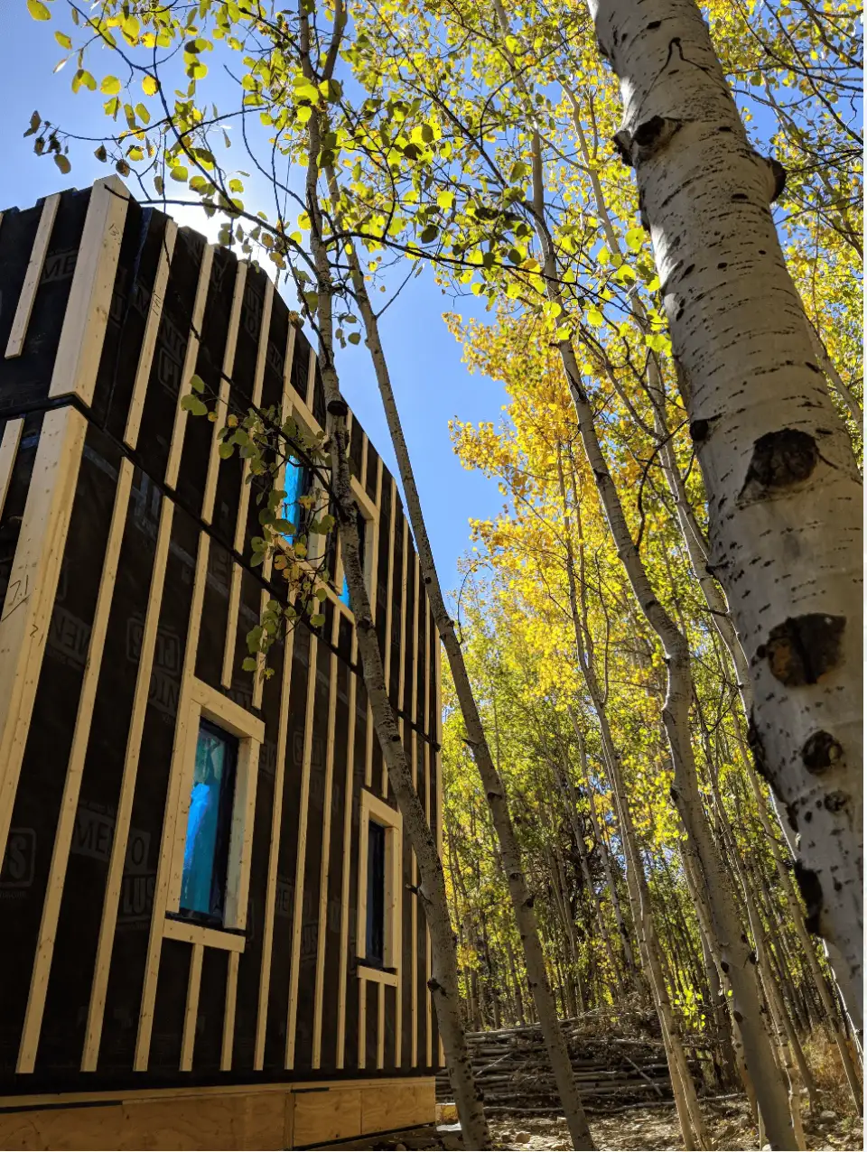 PhoenixHaus construction IG