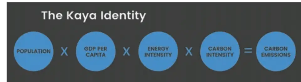 Screen Shot 2021 06 08 at 11.01.22 AM