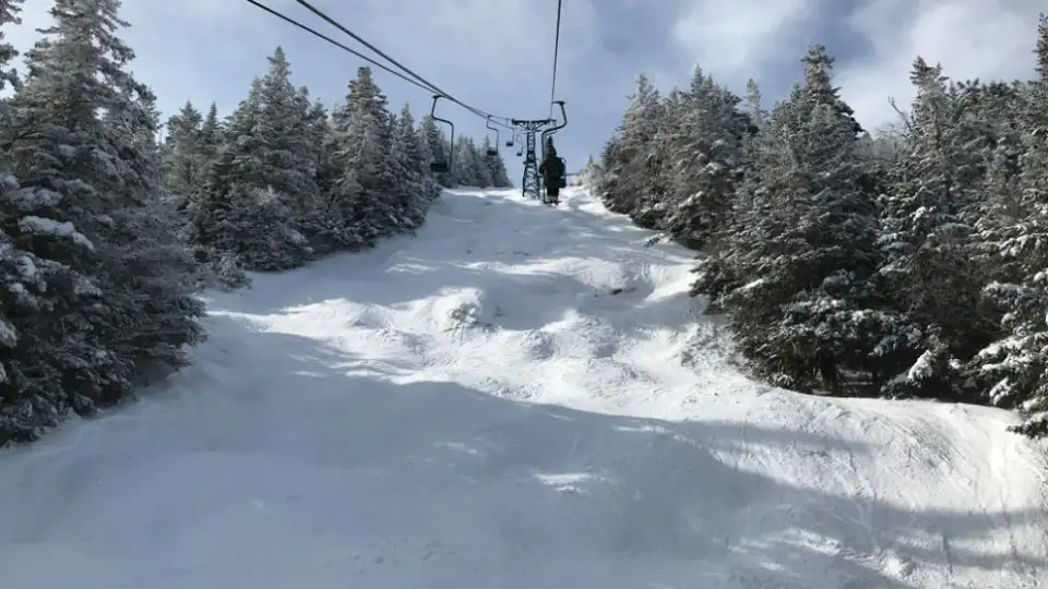 michelle apigian Page 05