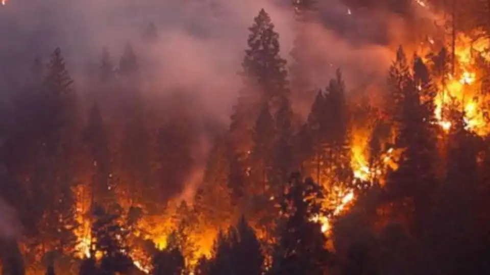 michelle apigian Page 11