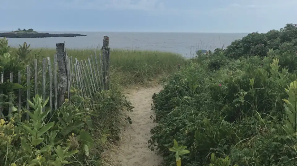 michelle apigian Page 16