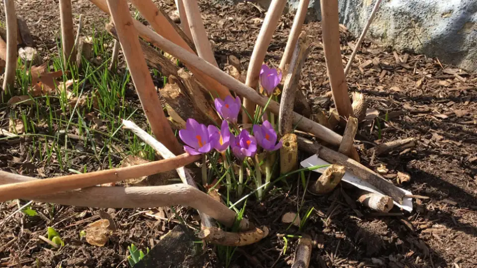 michelle apigian Page 19