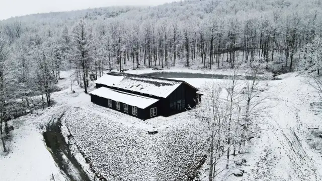 Winter Drone2