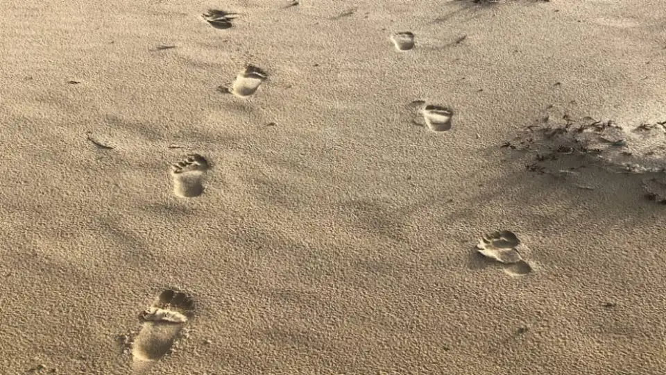 footprints