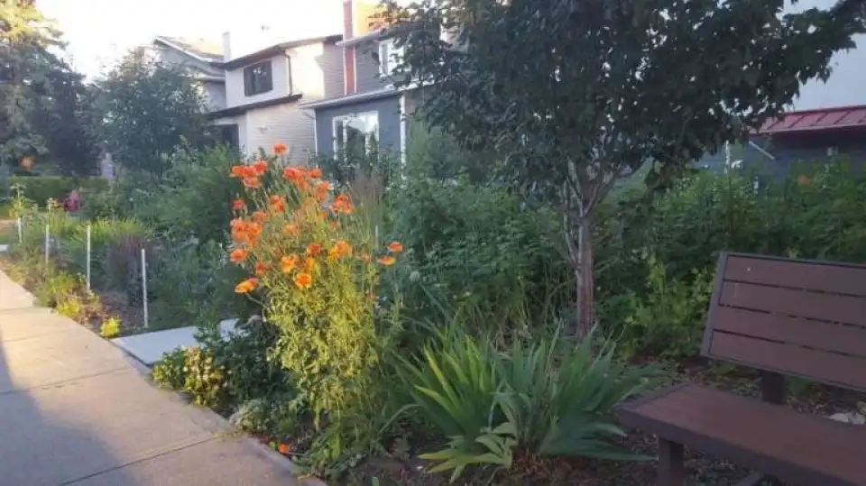 c2dfec62bd4c298cd6a334b1d4d04f65f3887a91 768x431