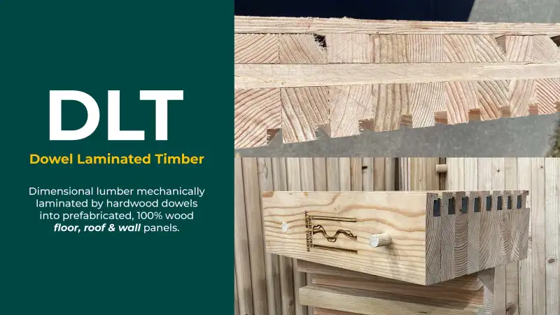 California Timber New Mass Timber Production in California