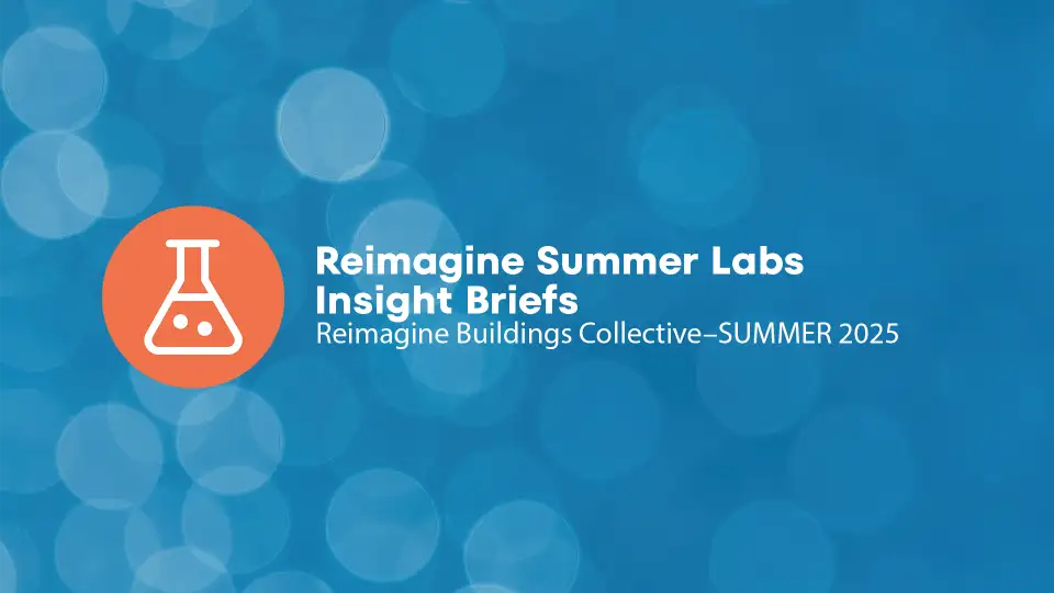 insight brief cover flip