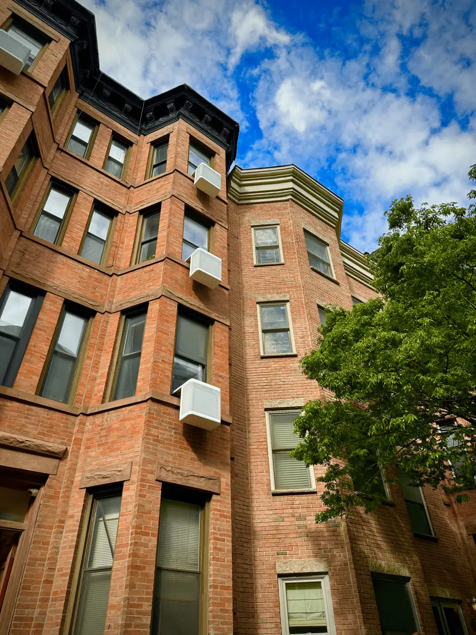 rsz copy of copy of copy of img 2506