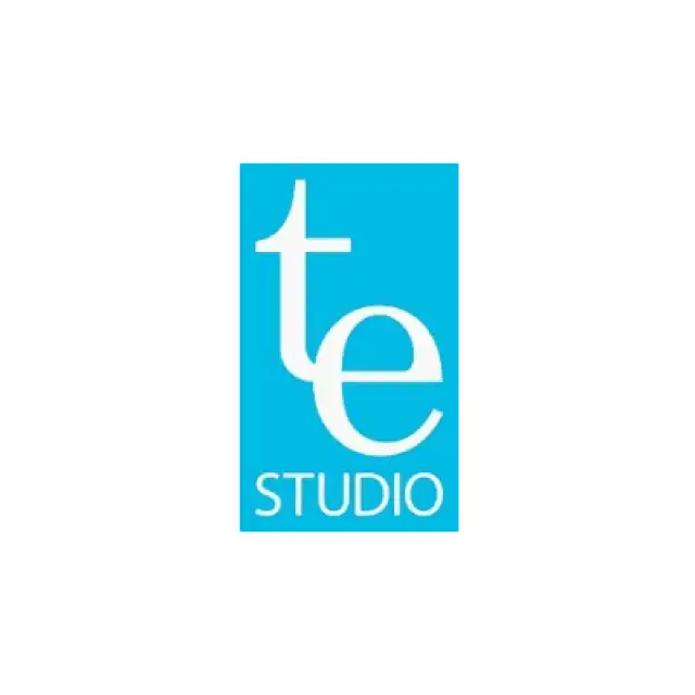 te studio logo square