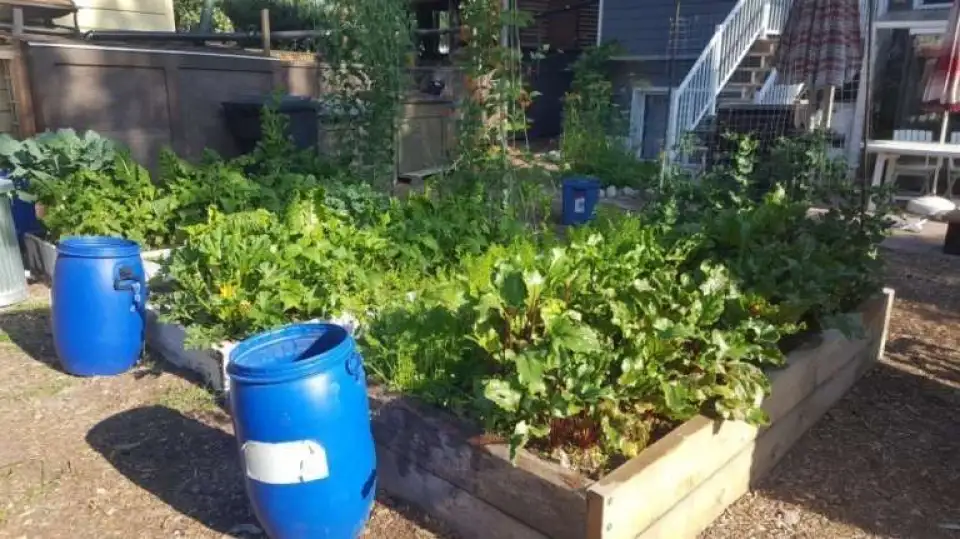 4ae5a01ffe33a8ad5b0be2677aada248d764f699 768x431